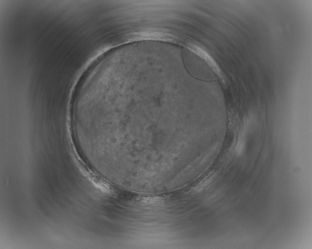 X0000074001043200609061018