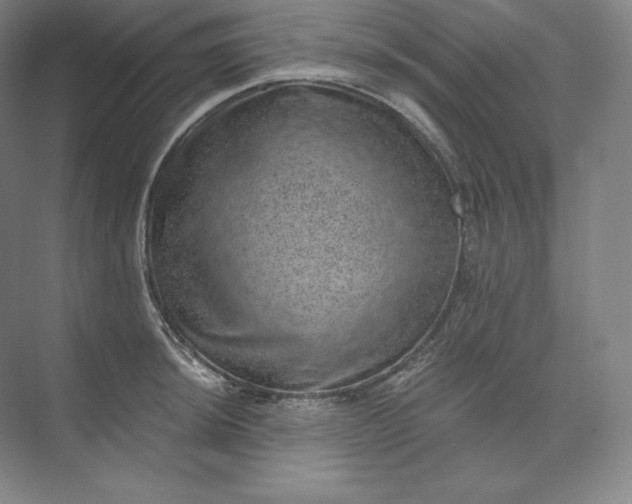 X0000074001044200609061018