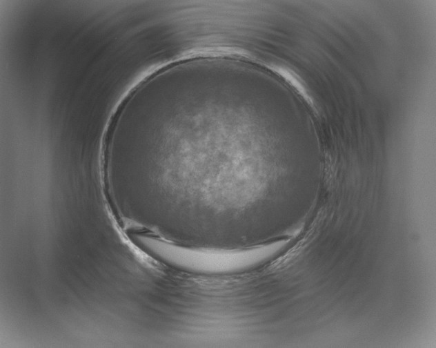 X0000074001046200609061018