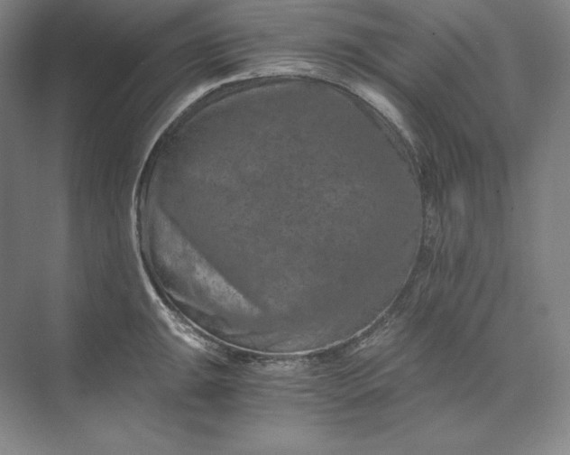 X0000074001047200609061018