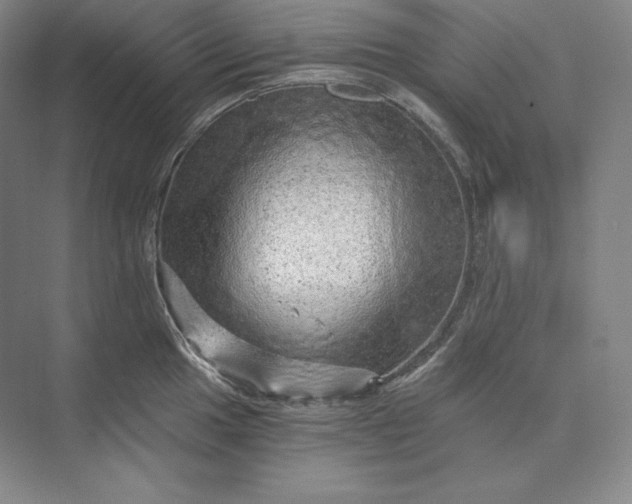 X0000074001049200609061018