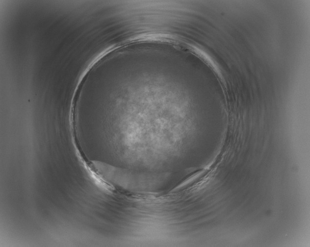 X0000074001050200609061018