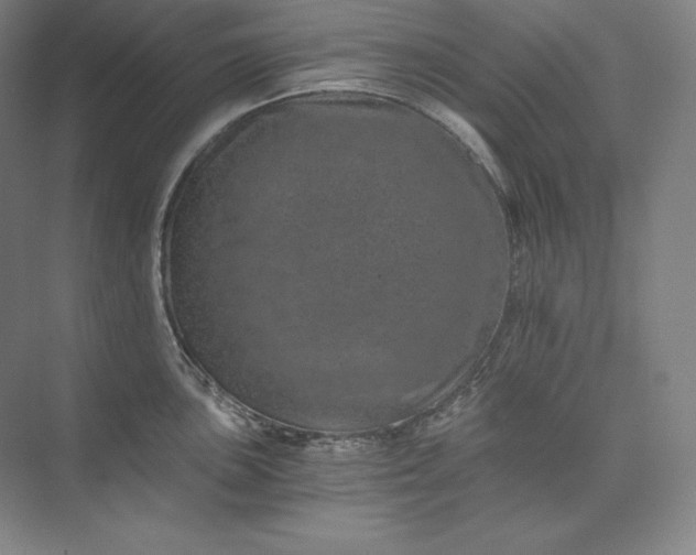 X0000074001051200609061018