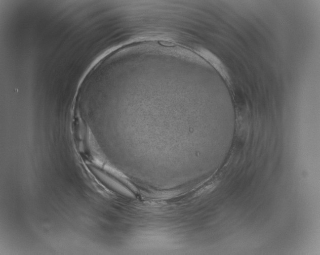 X0000074001052200609061018