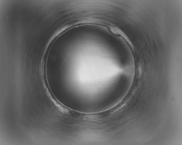 X0000074001053200609061018