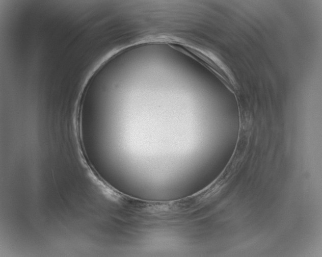 X0000074001054200609061018