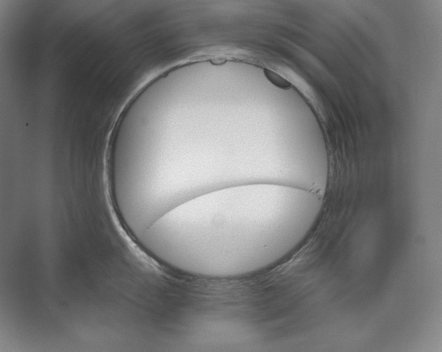 X0000074001055200609061018