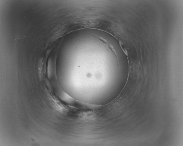 X0000074001058200609061018