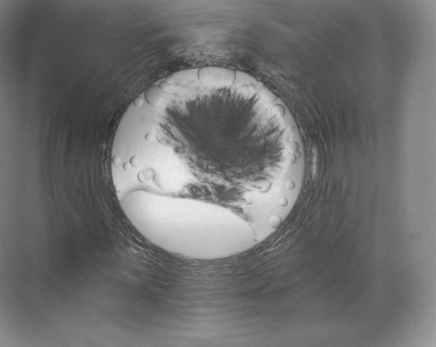 X0000074001059200609061018