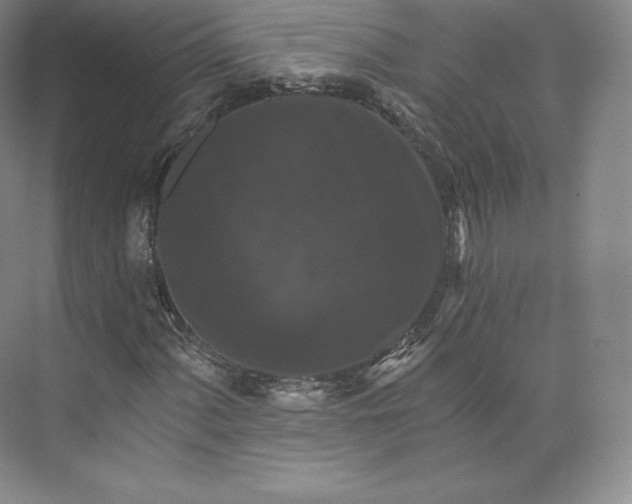 X0000074001060200609061018