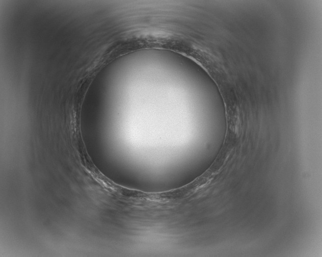 X0000074001061200609061018