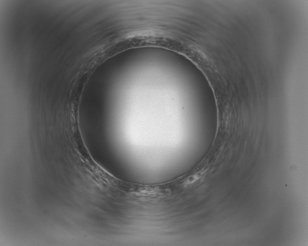 X0000074001062200609061018