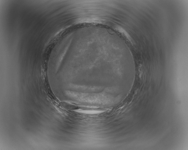 X0000074001064200609061018