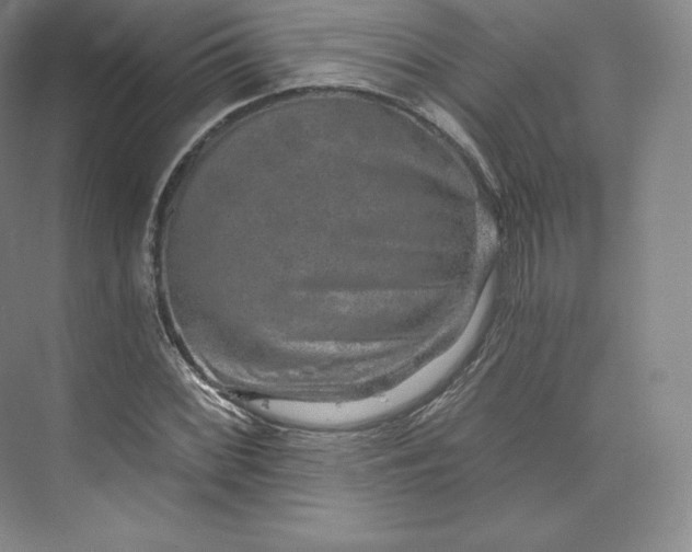 X0000074001068200609061018