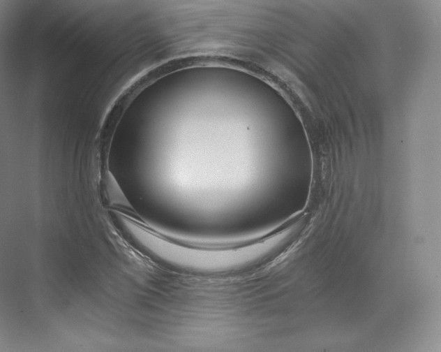 X0000074001069200609061017