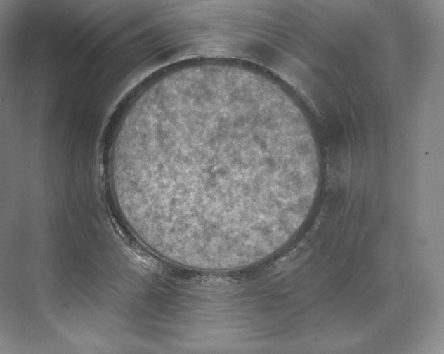 X0000074001070200609061017