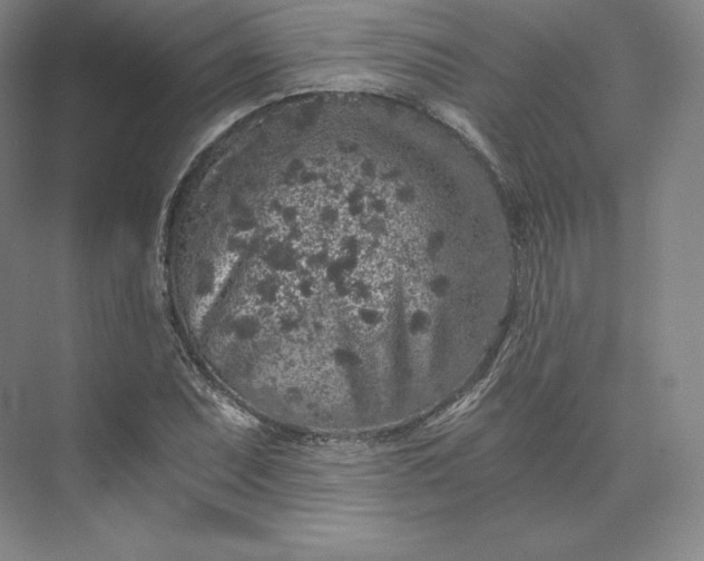 X0000074001071200609061017