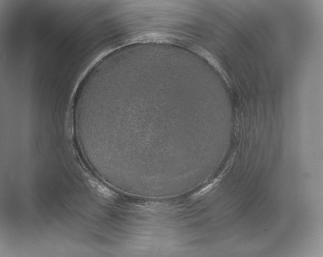 X0000074001075200609061017