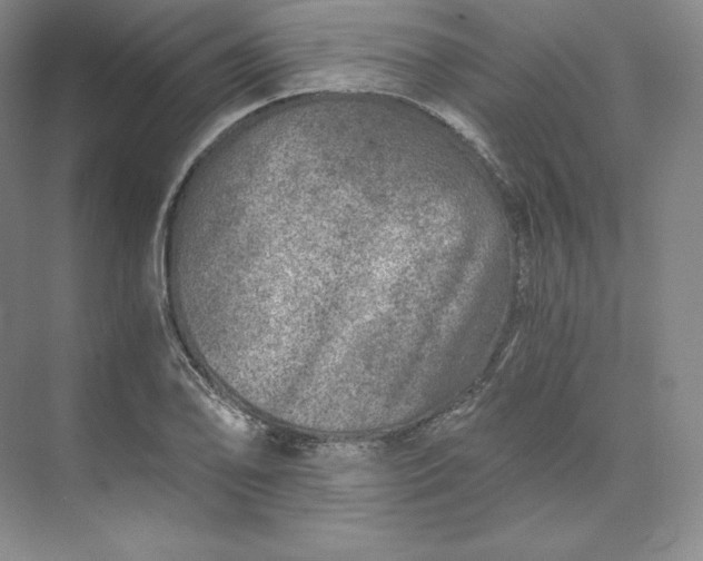 X0000074001078200609061017