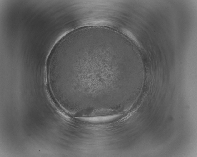 X0000074001079200609061017