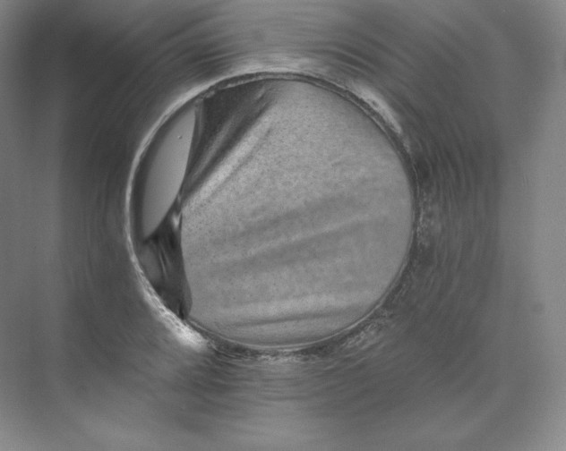 X0000074001080200609061017