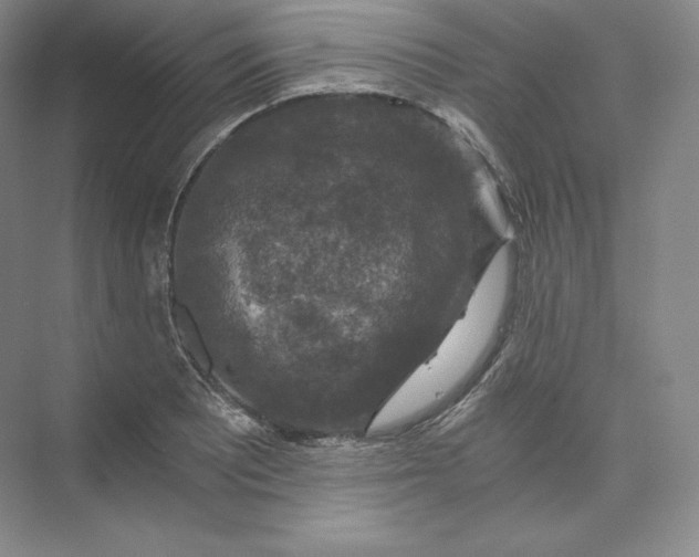 X0000074001081200609061017