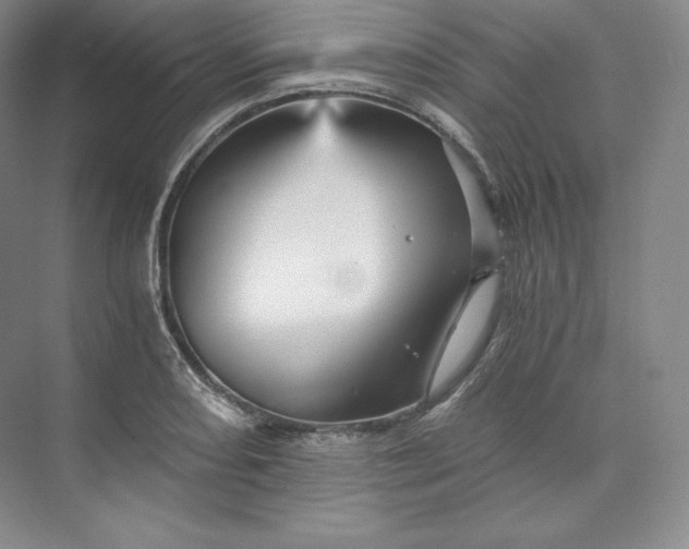 X0000074001082200609061017