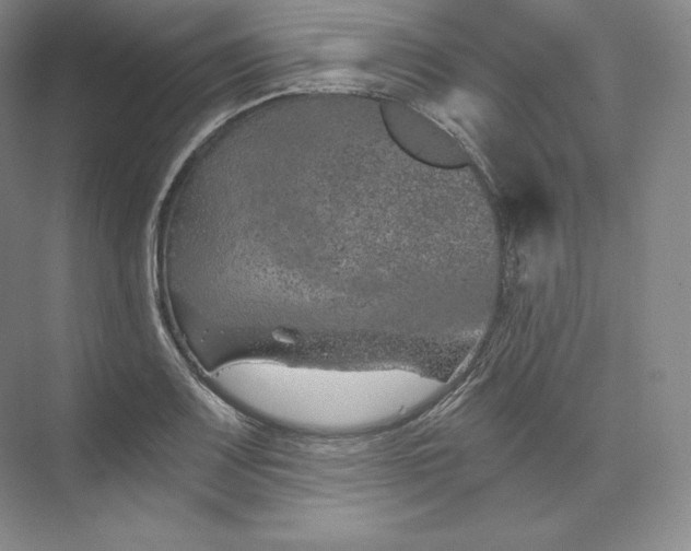 X0000074001083200609061017