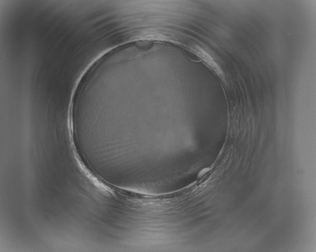 X0000074001084200609061017