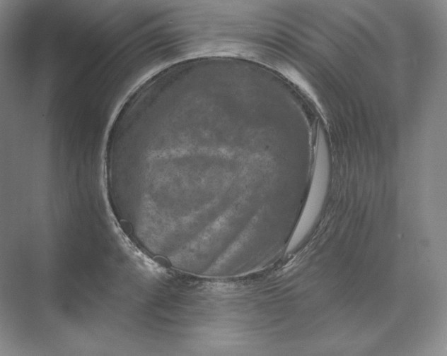 X0000074001088200609061017