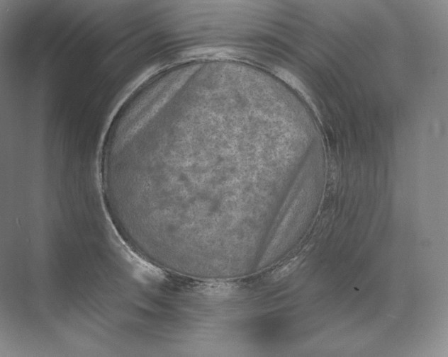 X0000074001090200609061017