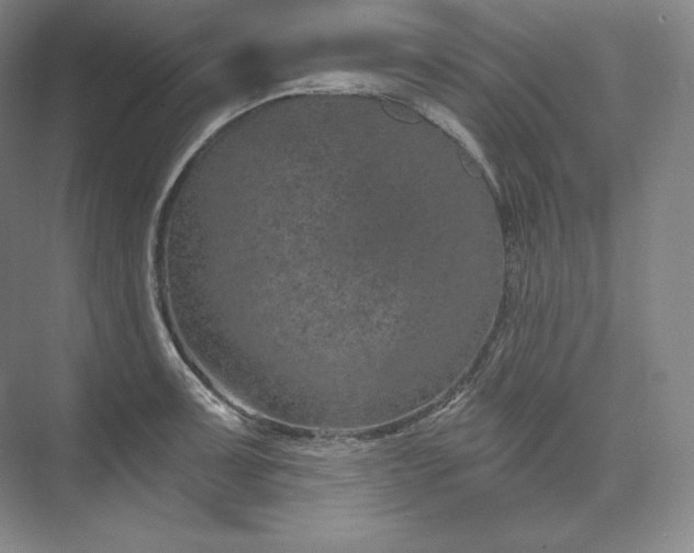 X0000074001091200609061017