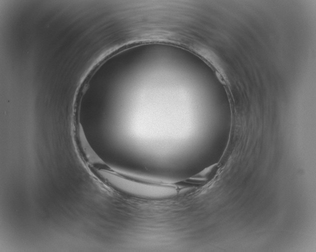 X0000074001093200609061017