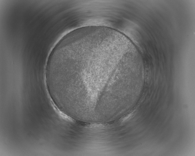 X0000074001094200609061017