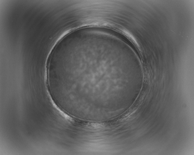 X0000074001095200609061017