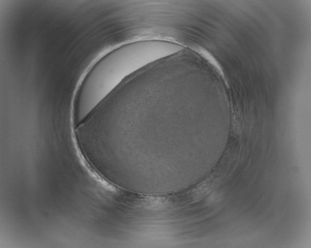 X0000074001096200609061017