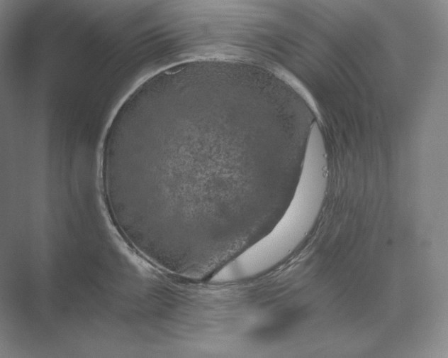 X0000074001099200609061017