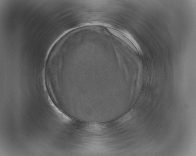 X0000074001100200609061017