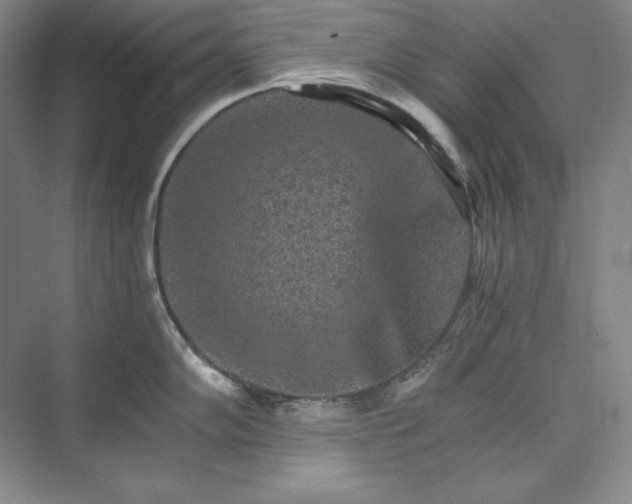 X0000074001102200609061017