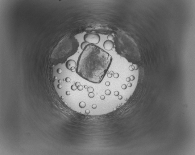 X0000074001105200609061016