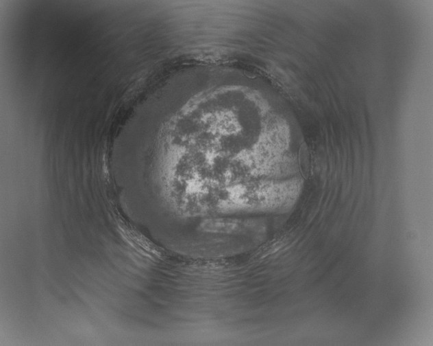 X0000074001106200609061016