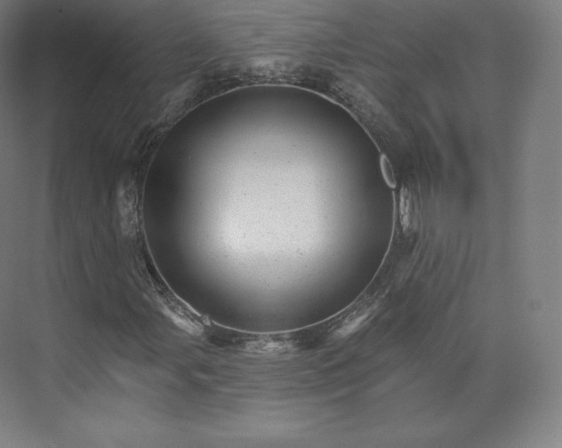 X0000074001107200609061016