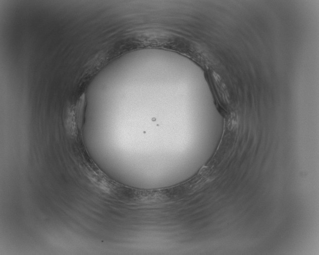 X0000074001108200609061016