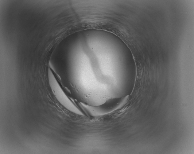 X0000074001109200609061016