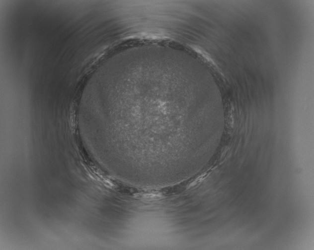 X0000074001110200609061016