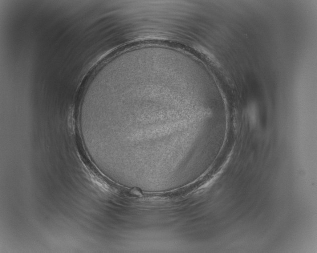 X0000074001113200609061016