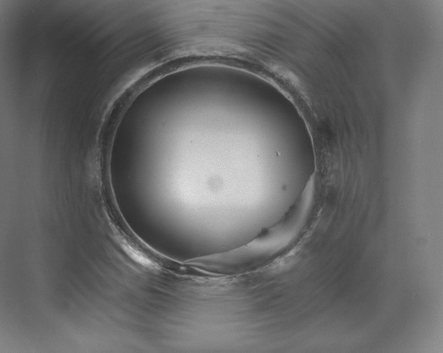 X0000074001114200609061016