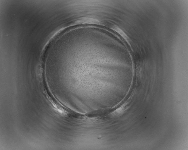 X0000074001115200609061016