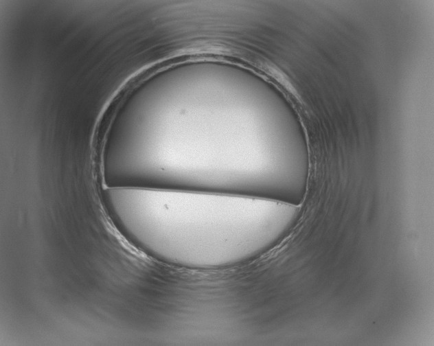 X0000074001116200609061016