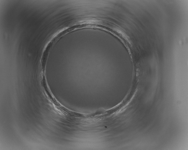 X0000074001117200609061016